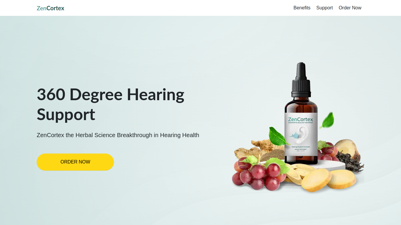 zencortex24.com