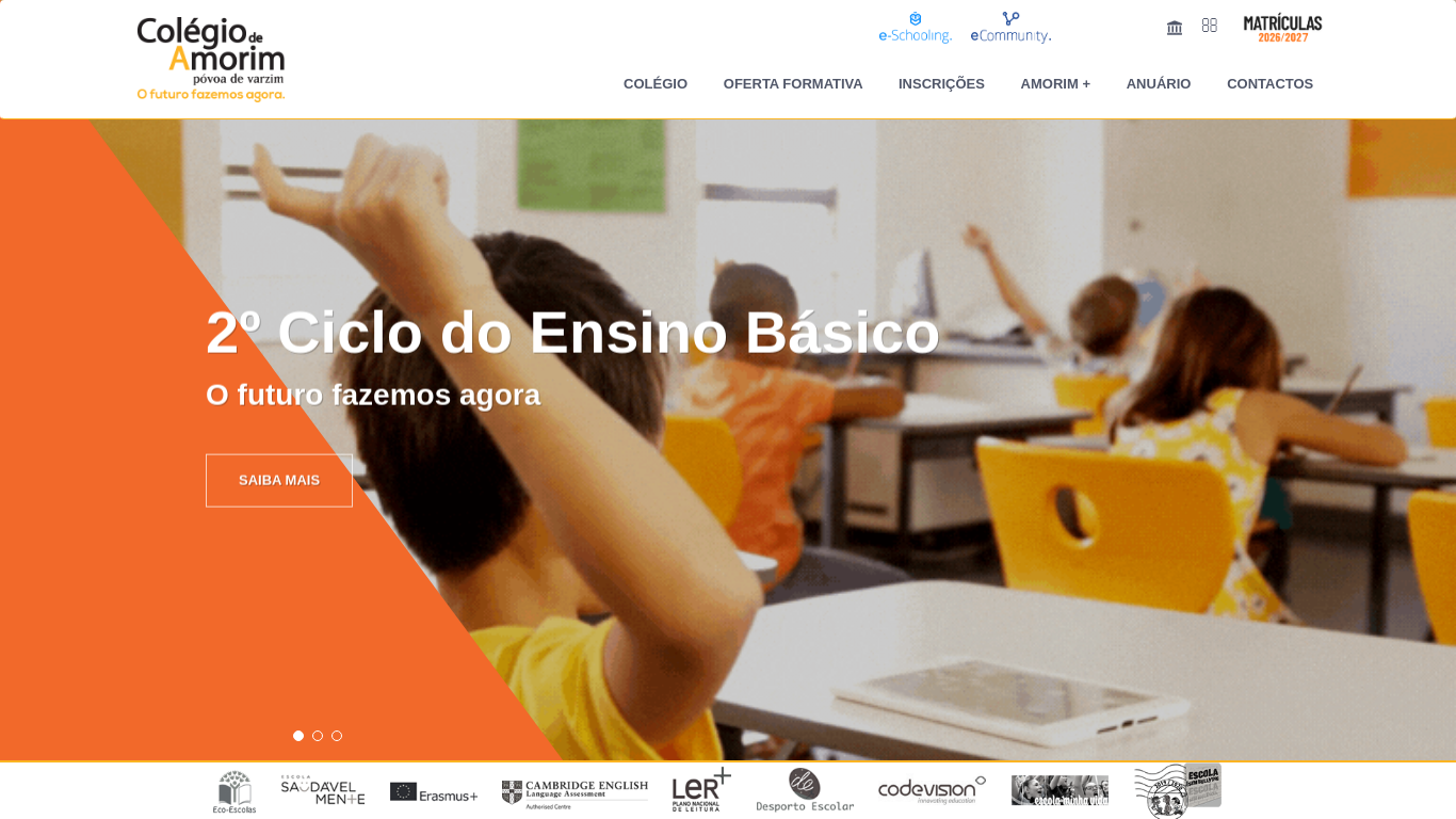 colegiodeamorim.com