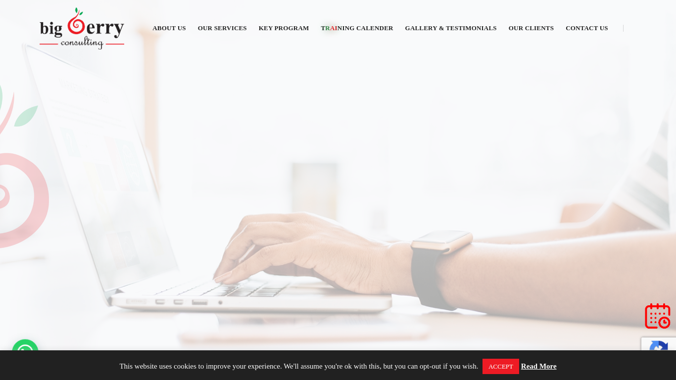 www.bigberryconsulting.com