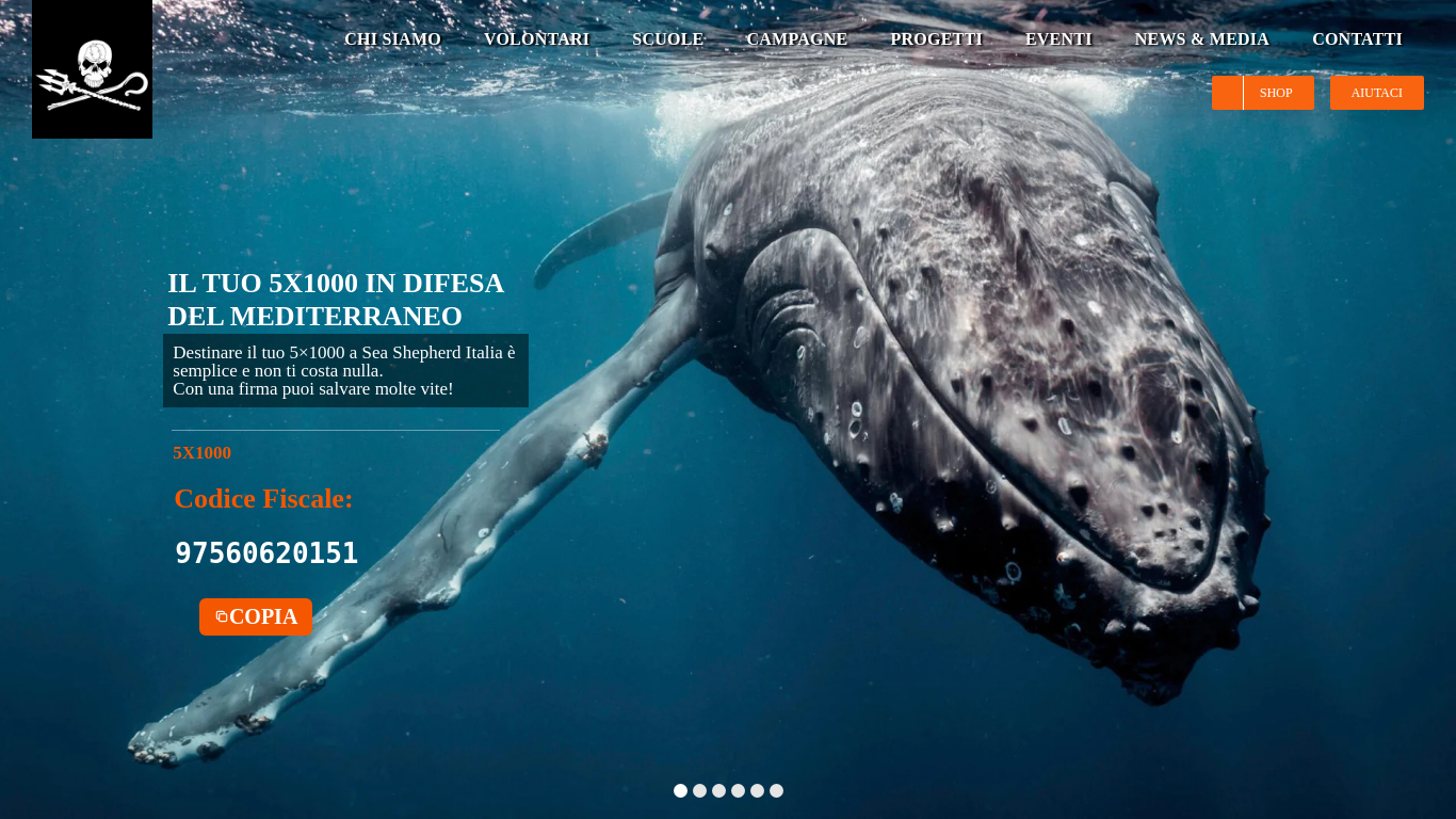 seashepherd.it