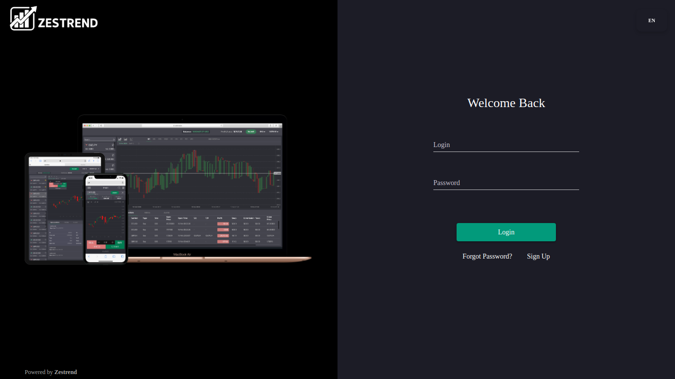 webtrader.zes2.com
