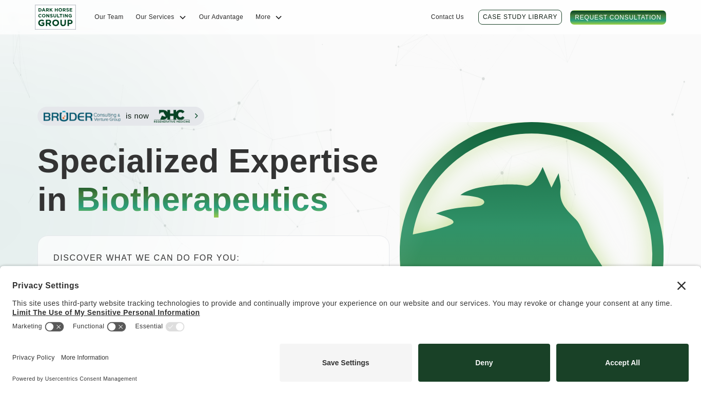 darkhorseconsultinggroup.com