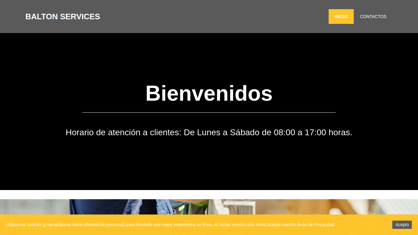 www.baltonservices.com.mx
