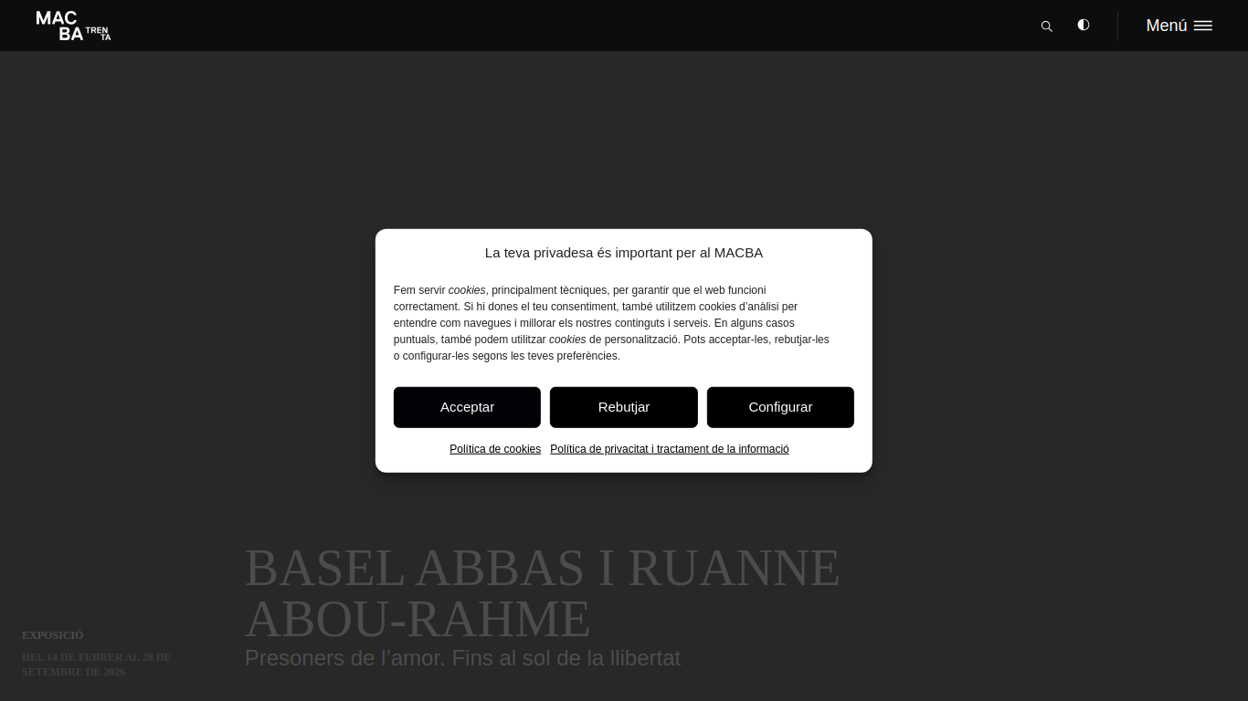 www.macba.cat