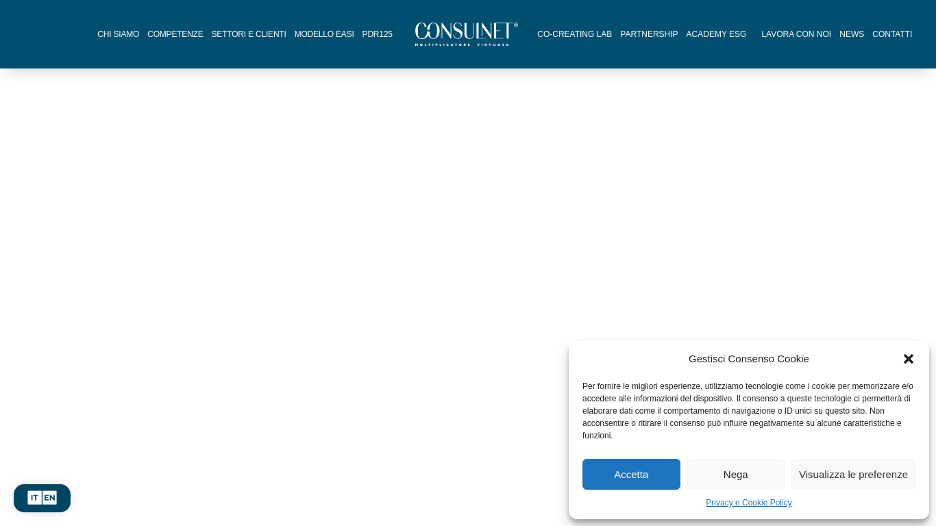 consulnet.it