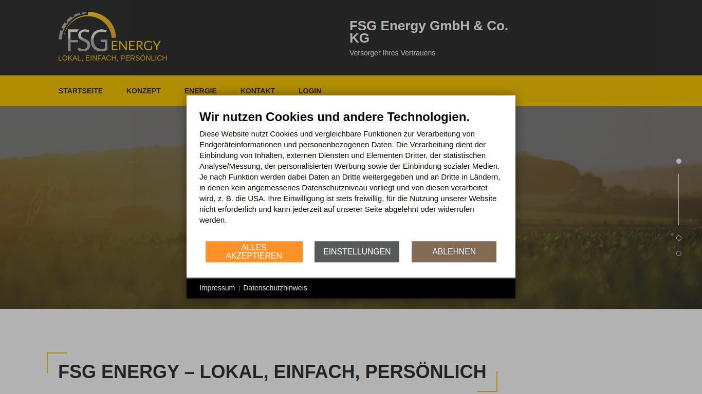 fsgconsulting.de