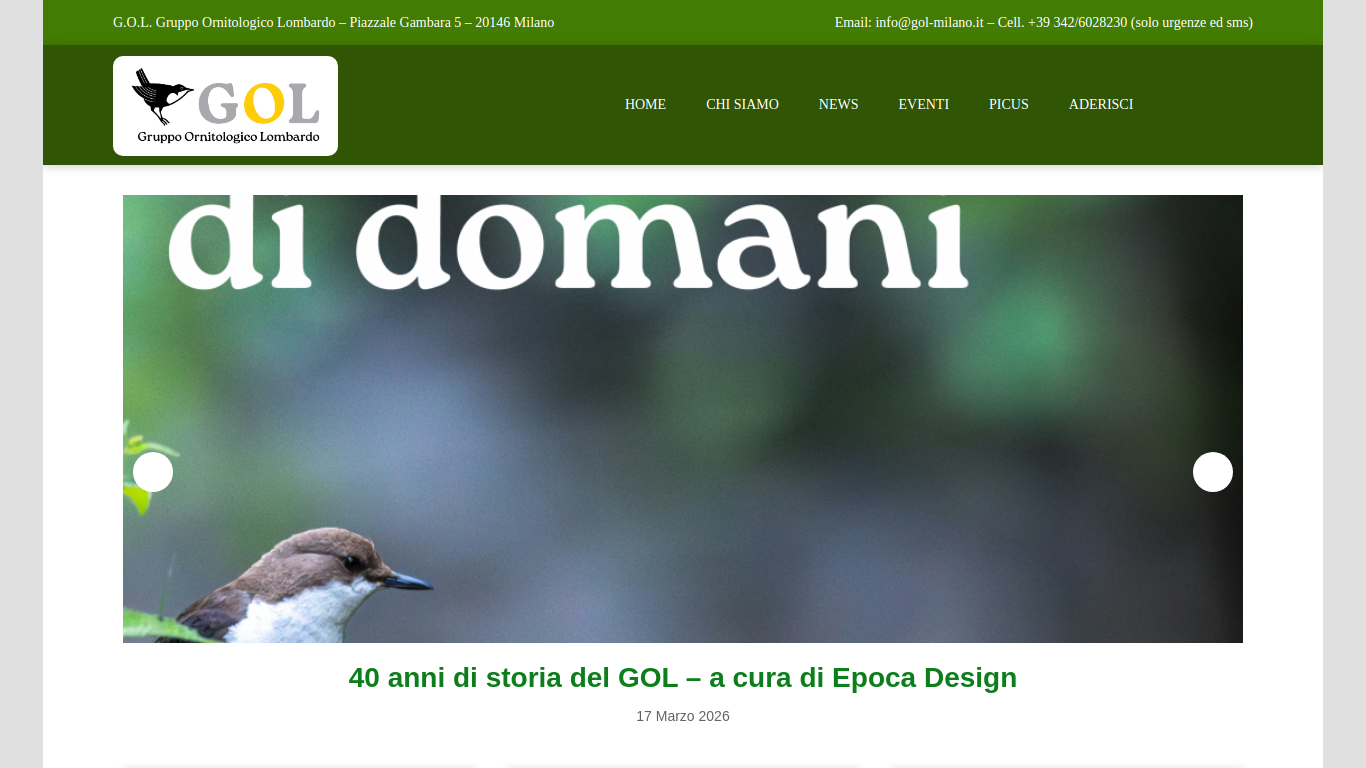 Screenshot of www.gol-milano.it