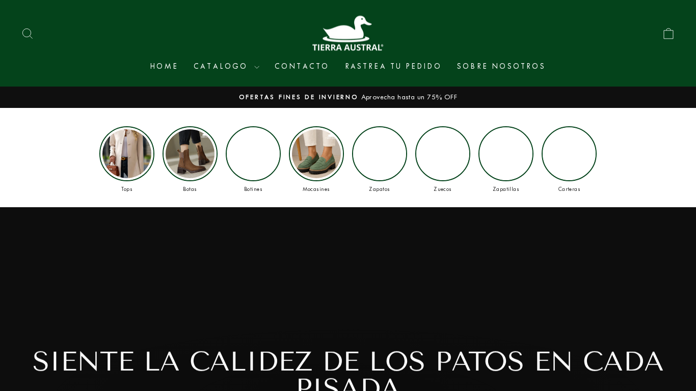 https://tierraaustralchile.com