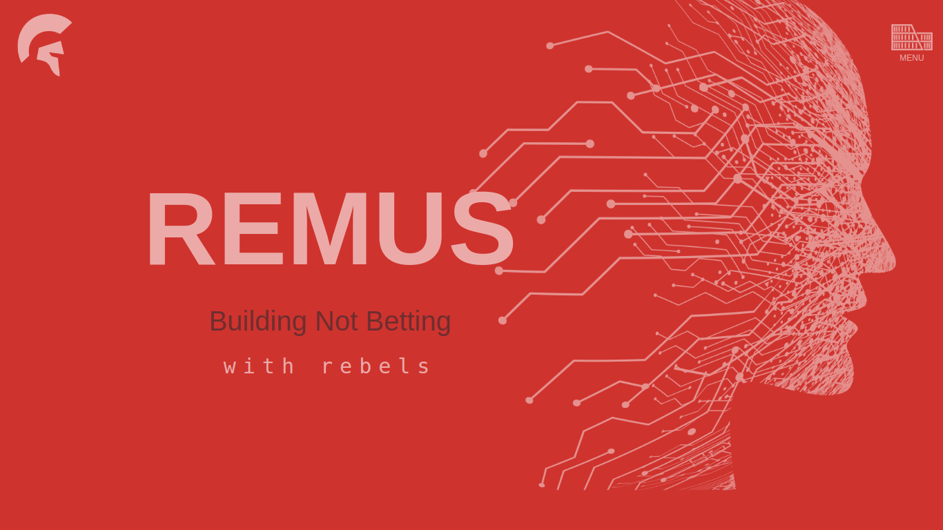 remusgroup.com
