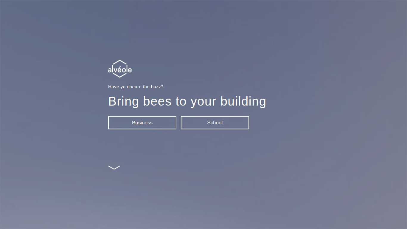 www.alveole.buzz.s3-website-us-east-1.amazonaws.com