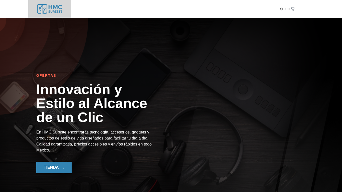 hmcsureste.com