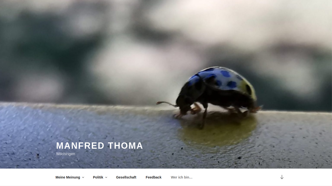 manfred-thoma.ch