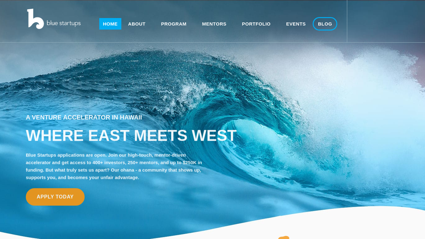 bluestartups.com