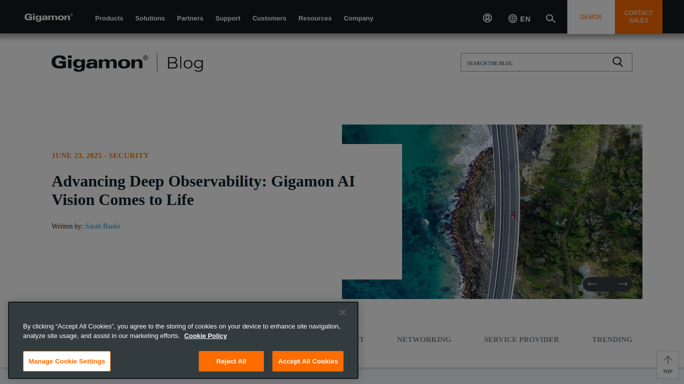 blog.gigamon.com