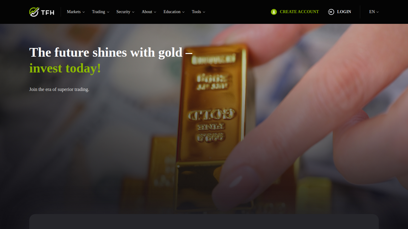 topfinhold.com