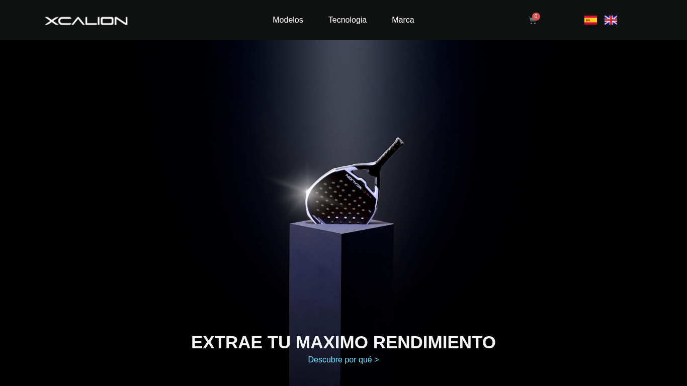 https://xcalion.com