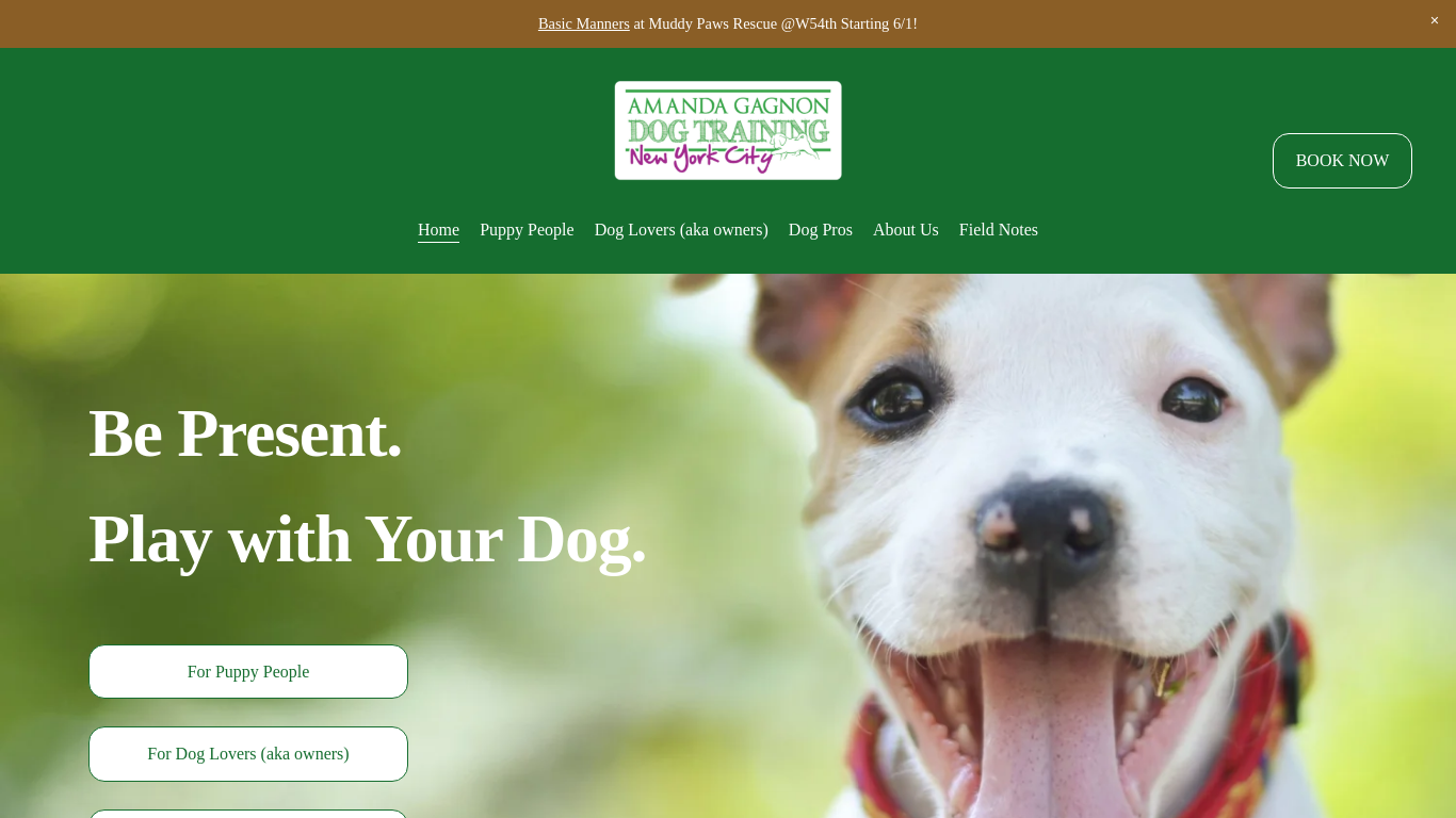 amandagagnondogtraining.com