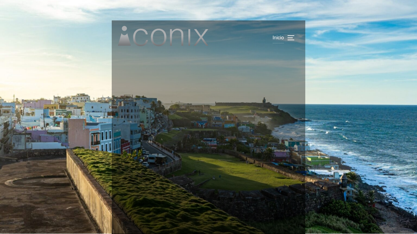 iconix-group.com