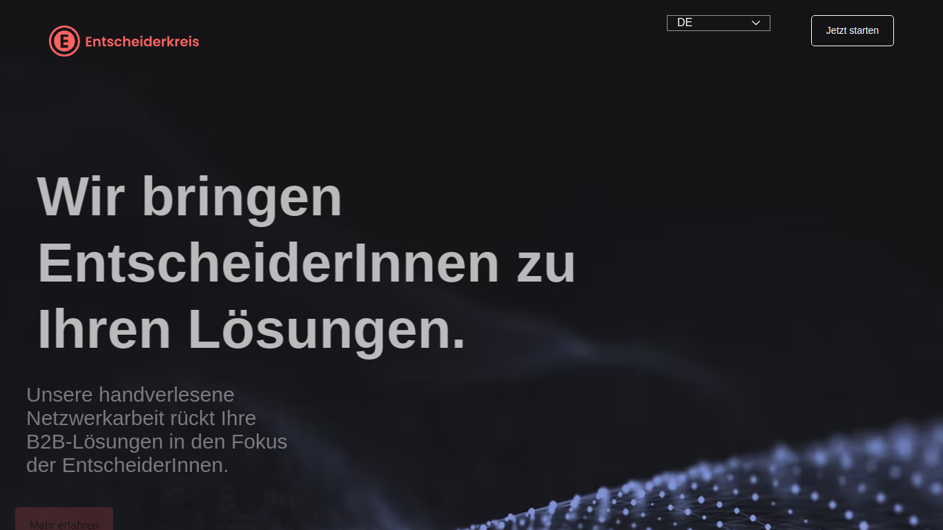 entscheider-kreis.de