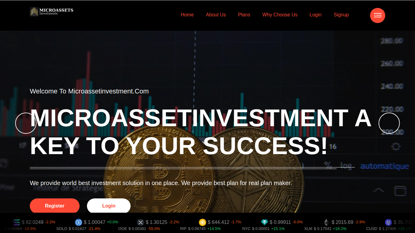 microassetinvestment.com