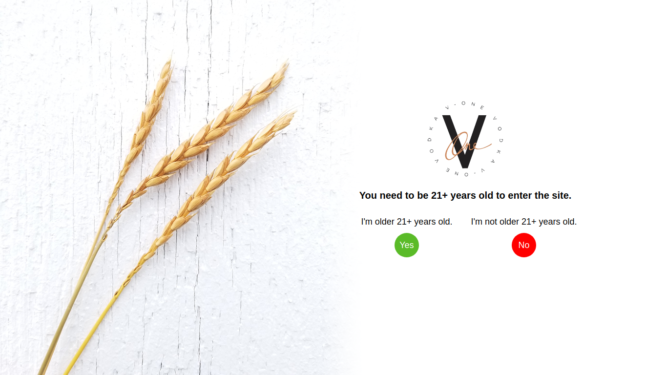 v1vodka.com